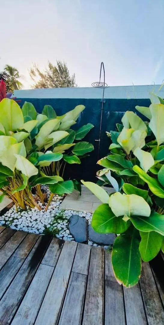 Le Ficus Iti - Belle Villa Bord De Mer Et Piscine Paea 0*,