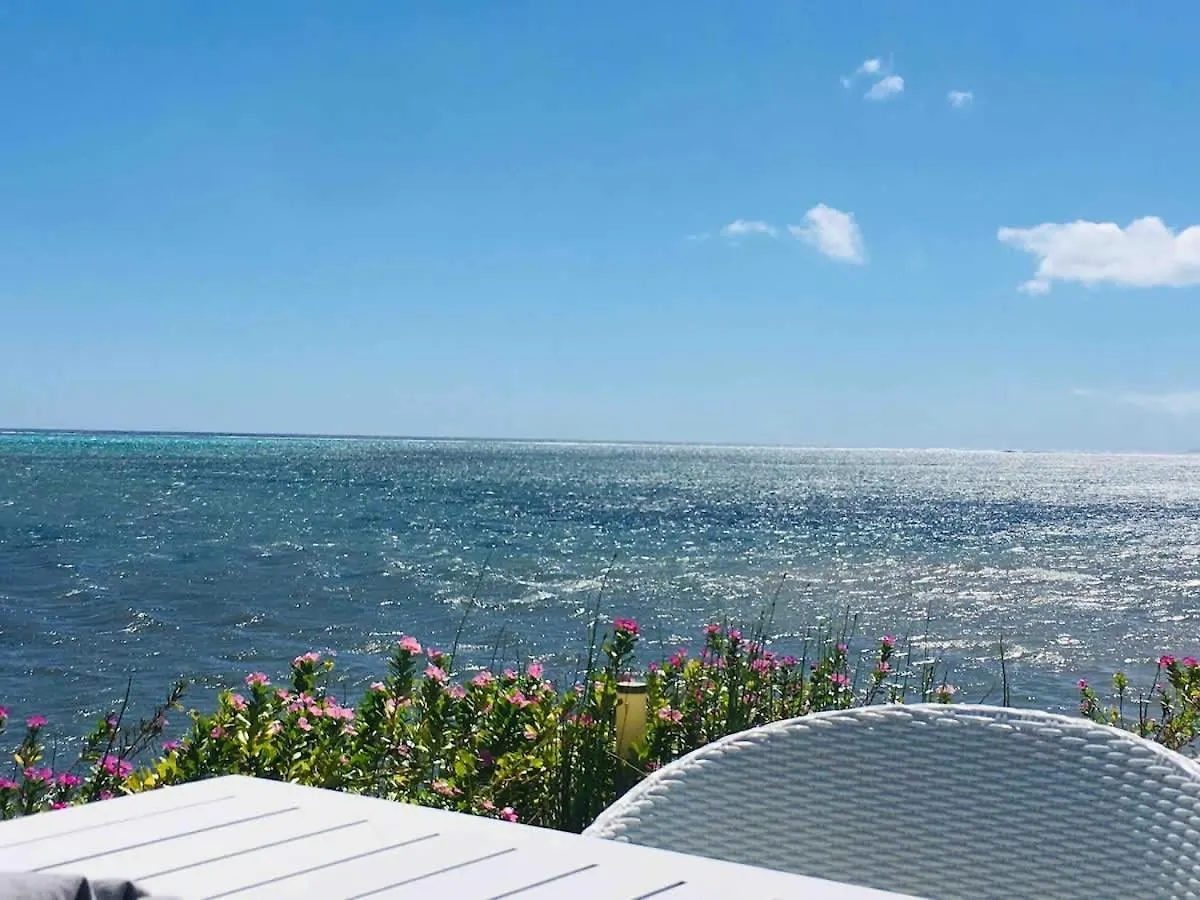 Le Ficus Iti - Belle Villa Bord De Mer Et Piscine Paea