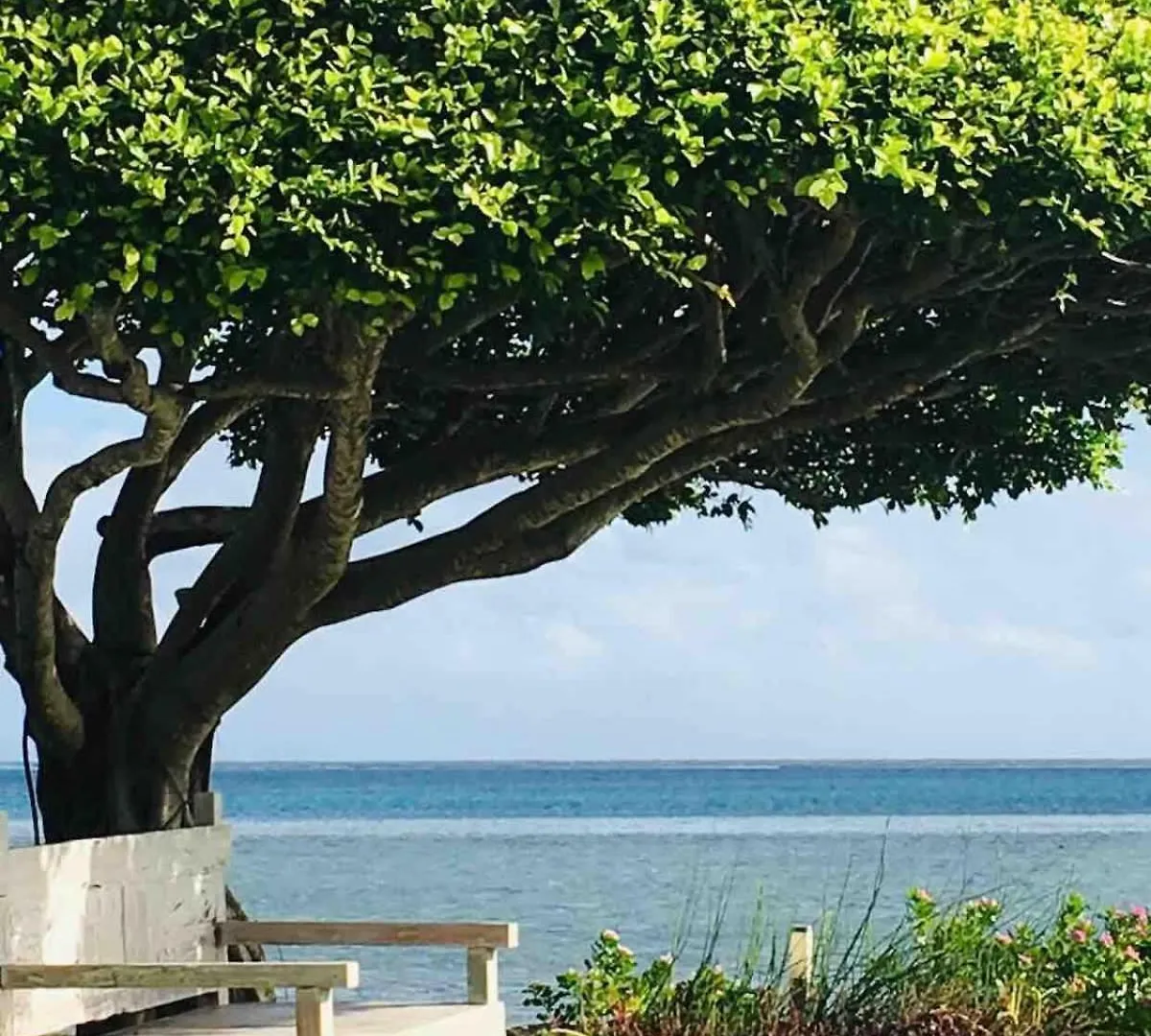 Le Ficus Iti - Belle Villa Bord De Mer Et Piscine Paea 0*,  French Polynesia