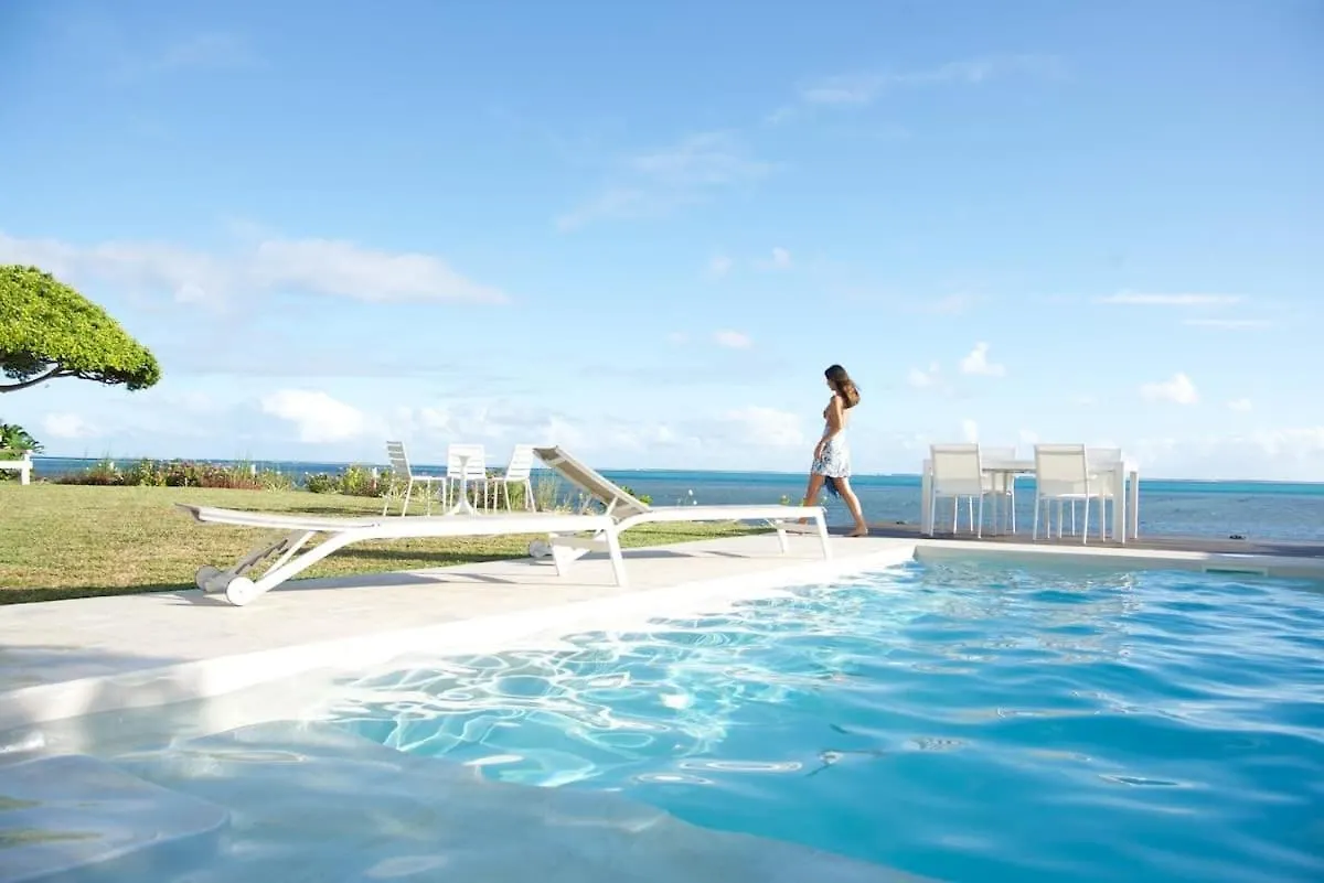 Le Ficus Iti - Belle Villa Bord De Mer Et Piscine Paea